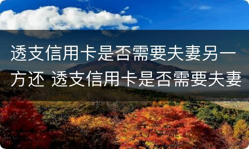 透支信用卡是否需要夫妻另一方还 透支信用卡是否需要夫妻另一方还钱
