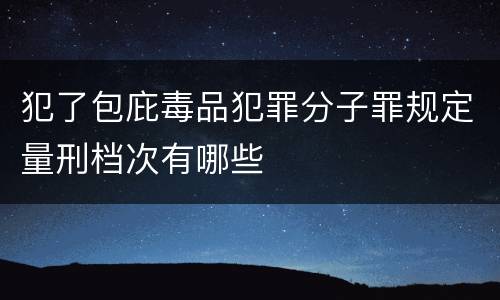 犯了包庇毒品犯罪分子罪规定量刑档次有哪些