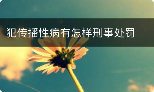 犯传播性病有怎样刑事处罚