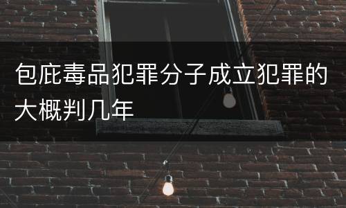 包庇毒品犯罪分子成立犯罪的大概判几年