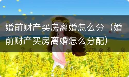 婚前财产买房离婚怎么分（婚前财产买房离婚怎么分配）