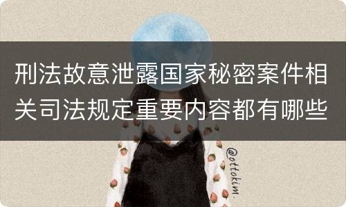 刑法故意泄露国家秘密案件相关司法规定重要内容都有哪些