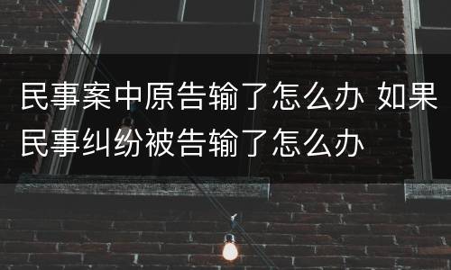 民事案中原告输了怎么办 如果民事纠纷被告输了怎么办