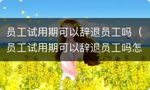 员工试用期可以辞退员工吗（员工试用期可以辞退员工吗怎么赔偿）