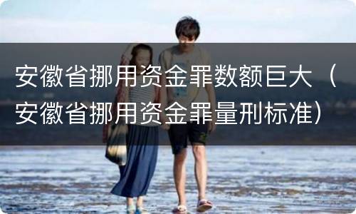 安徽省挪用资金罪数额巨大（安徽省挪用资金罪量刑标准）