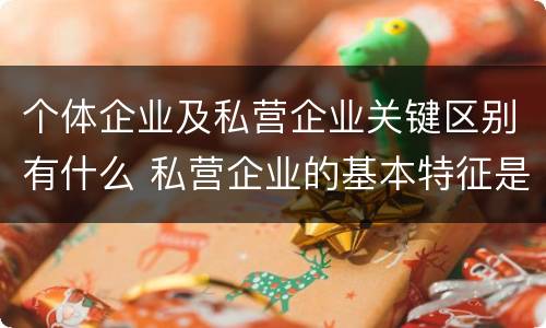 个体企业及私营企业关键区别有什么 私营企业的基本特征是什么
