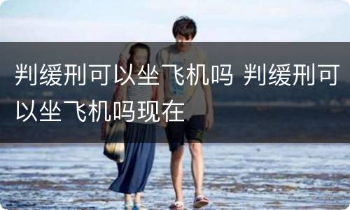 判缓刑可以坐飞机吗 判缓刑可以坐飞机吗现在
