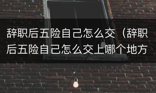辞职后五险自己怎么交（辞职后五险自己怎么交上哪个地方交）