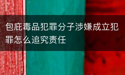 包庇毒品犯罪分子涉嫌成立犯罪怎么追究责任
