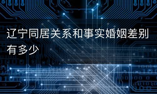 辽宁同居关系和事实婚姻差别有多少