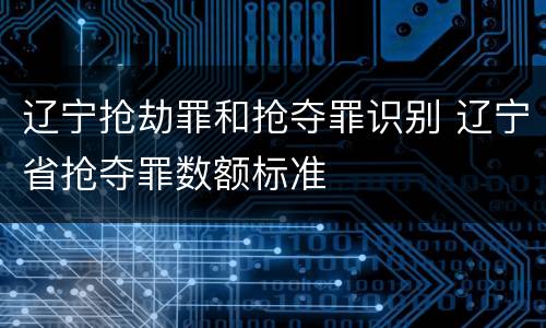 辽宁抢劫罪和抢夺罪识别 辽宁省抢夺罪数额标准
