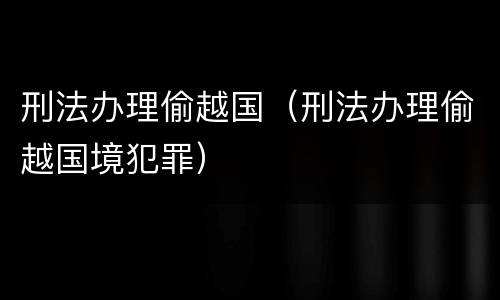 刑法办理偷越国（刑法办理偷越国境犯罪）