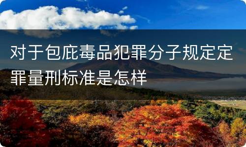 对于包庇毒品犯罪分子规定定罪量刑标准是怎样