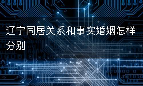 辽宁同居关系和事实婚姻怎样分别