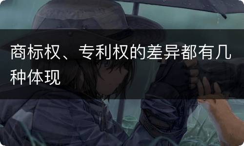 商标权、专利权的差异都有几种体现