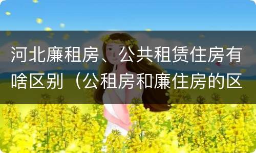 河北廉租房、公共租赁住房有啥区别（公租房和廉住房的区别）