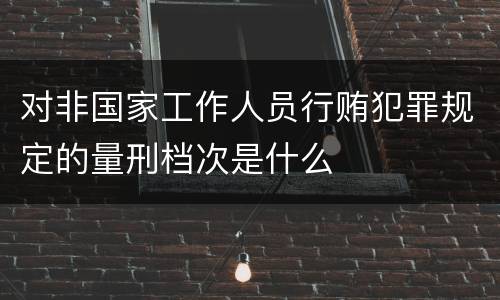 对非国家工作人员行贿犯罪规定的量刑档次是什么
