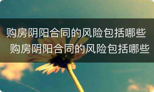 购房阴阳合同的风险包括哪些 购房阴阳合同的风险包括哪些内容