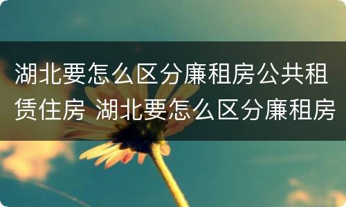 湖北要怎么区分廉租房公共租赁住房 湖北要怎么区分廉租房公共租赁住房和住房