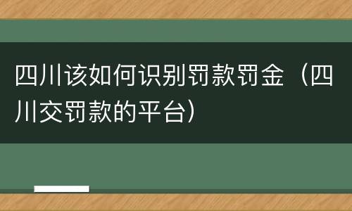 四川该如何识别罚款罚金（四川交罚款的平台）