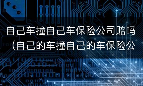 自己车撞自己车保险公司赔吗（自己的车撞自己的车保险公司赔吗）