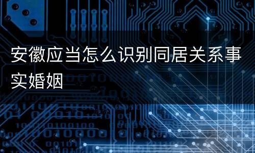 安徽应当怎么识别同居关系事实婚姻
