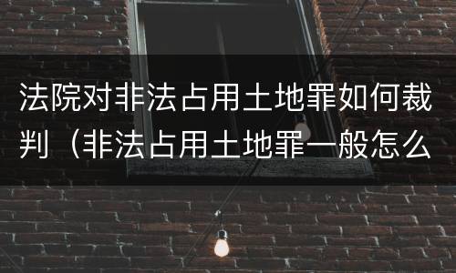 法院对非法占用土地罪如何裁判（非法占用土地罪一般怎么判决）