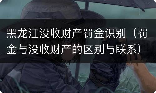 黑龙江没收财产罚金识别（罚金与没收财产的区别与联系）