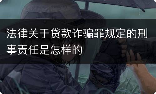 法律关于贷款诈骗罪规定的刑事责任是怎样的