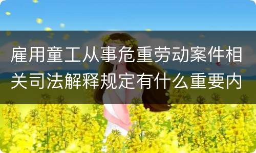 雇用童工从事危重劳动案件相关司法解释规定有什么重要内容