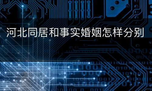 河北同居和事实婚姻怎样分别