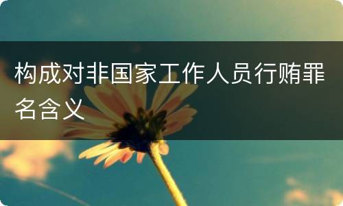 构成对非国家工作人员行贿罪名含义