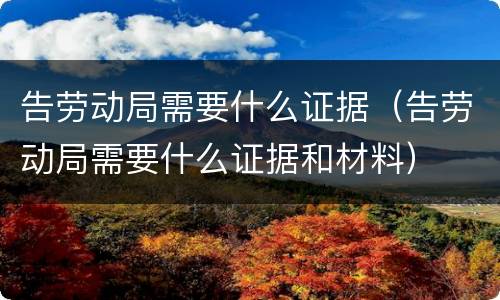 告劳动局需要什么证据（告劳动局需要什么证据和材料）