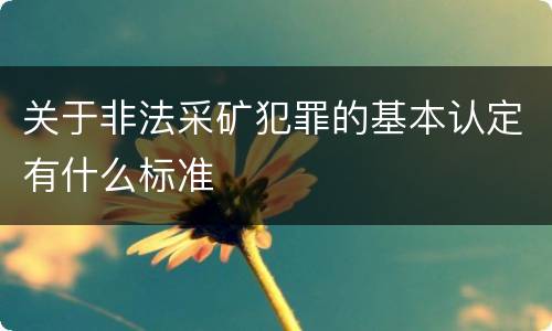 关于非法采矿犯罪的基本认定有什么标准