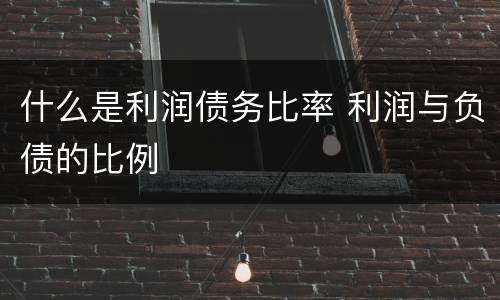 什么是利润债务比率 利润与负债的比例