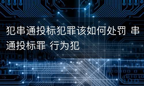 犯串通投标犯罪该如何处罚 串通投标罪 行为犯