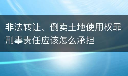 非法转让、倒卖土地使用权罪刑事责任应该怎么承担