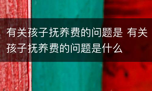 有关孩子抚养费的问题是 有关孩子抚养费的问题是什么