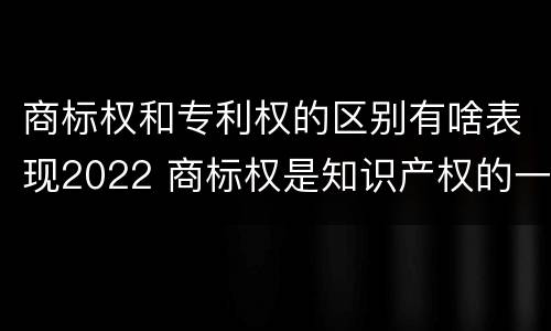 商标权和专利权的区别有啥表现2022 商标权是知识产权的一种吗