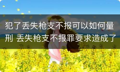 犯了丢失枪支不报可以如何量刑 丢失枪支不报罪要求造成了严重后果的才构成犯罪