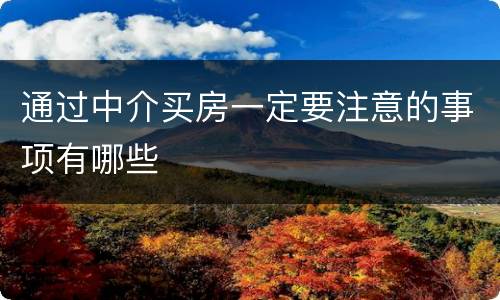 通过中介买房一定要注意的事项有哪些