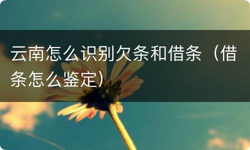 云南怎么识别欠条和借条（借条怎么鉴定）