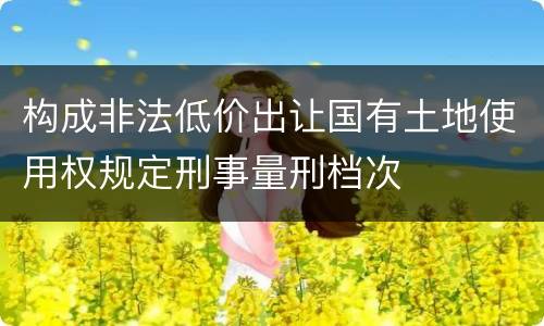 构成非法低价出让国有土地使用权规定刑事量刑档次