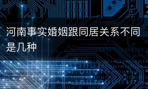 河南事实婚姻跟同居关系不同是几种
