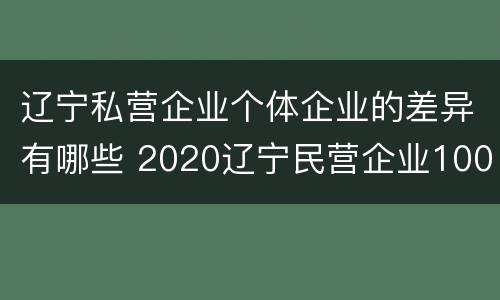 辽宁私营企业个体企业的差异有哪些 2020辽宁民营企业100强