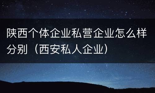 陕西个体企业私营企业怎么样分别（西安私人企业）