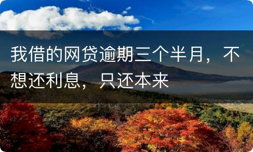 我借的网贷逾期三个半月，不想还利息，只还本来