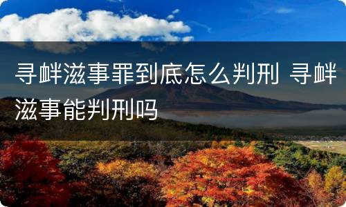 寻衅滋事罪到底怎么判刑 寻衅滋事能判刑吗