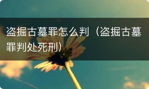 盗掘古墓罪怎么判（盗掘古墓罪判处死刑）