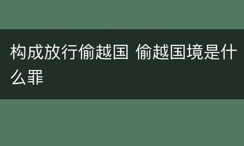 构成放行偷越国 偷越国境是什么罪